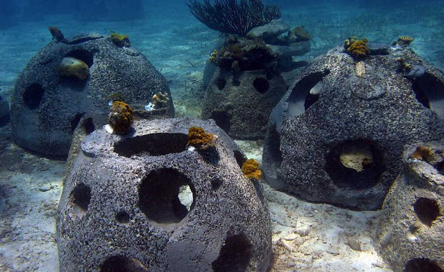 Artificial Reefs - Bank2home.com