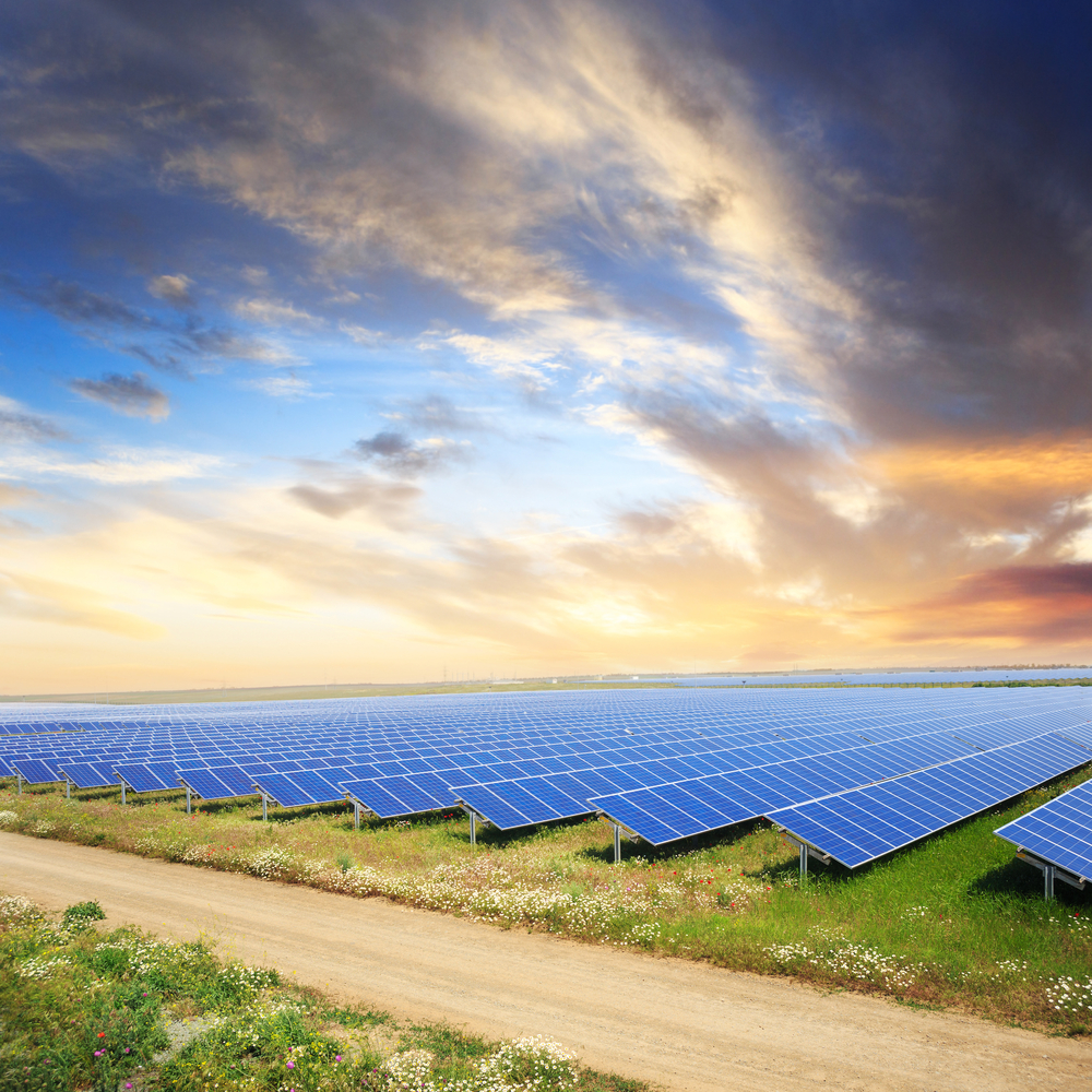 Solar Paneled Roads for the 2020 Olympics